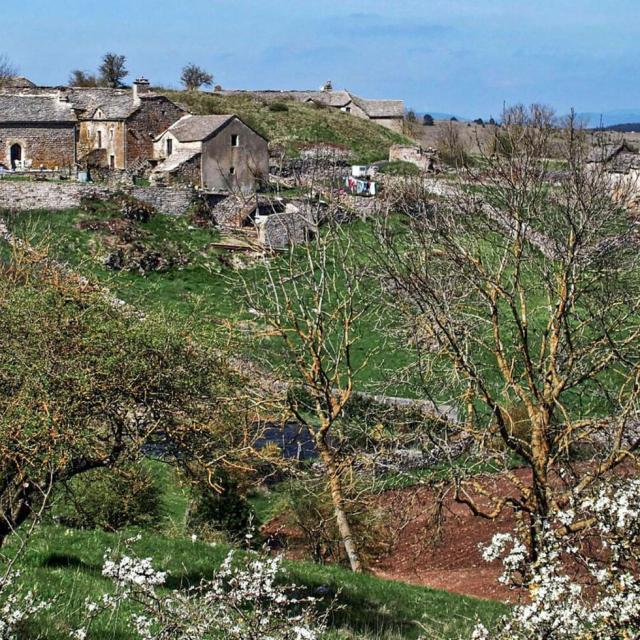 Houses caussenardes village sauveterre lozère.