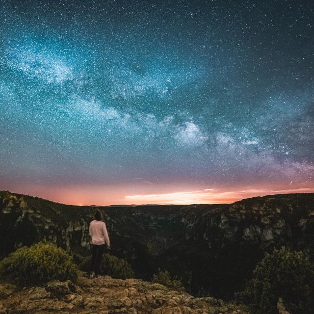 sublime point of night stars