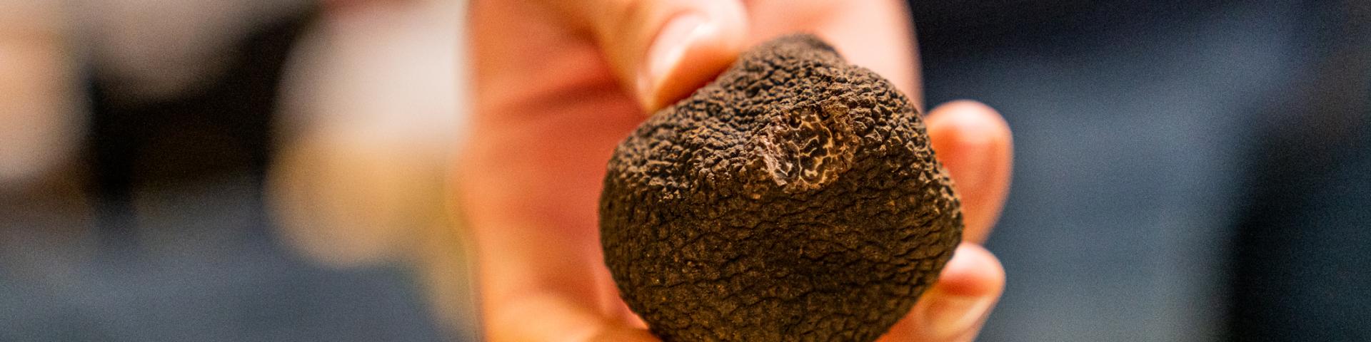 truffe lozère gorges du tarn