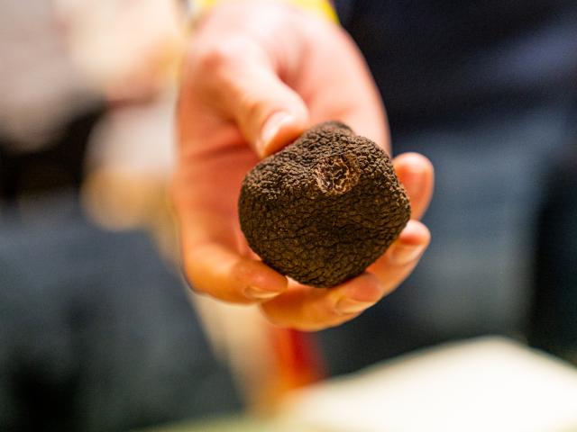 truffle lozère gorges du tarn