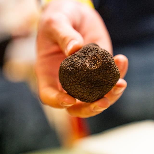 truffle lozère gorges du tarn