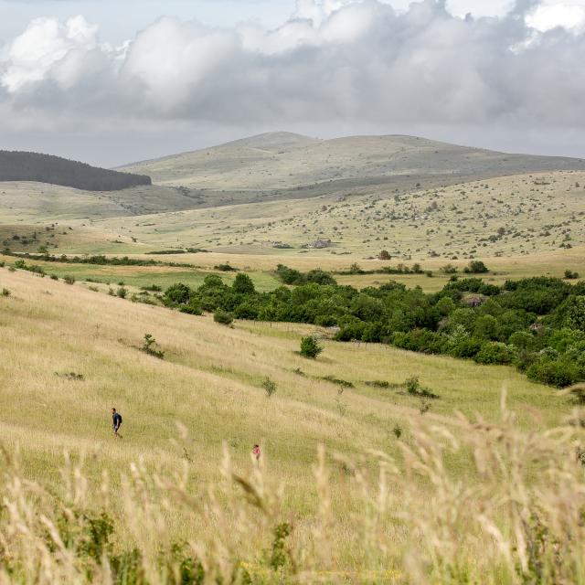panorama causse méjean