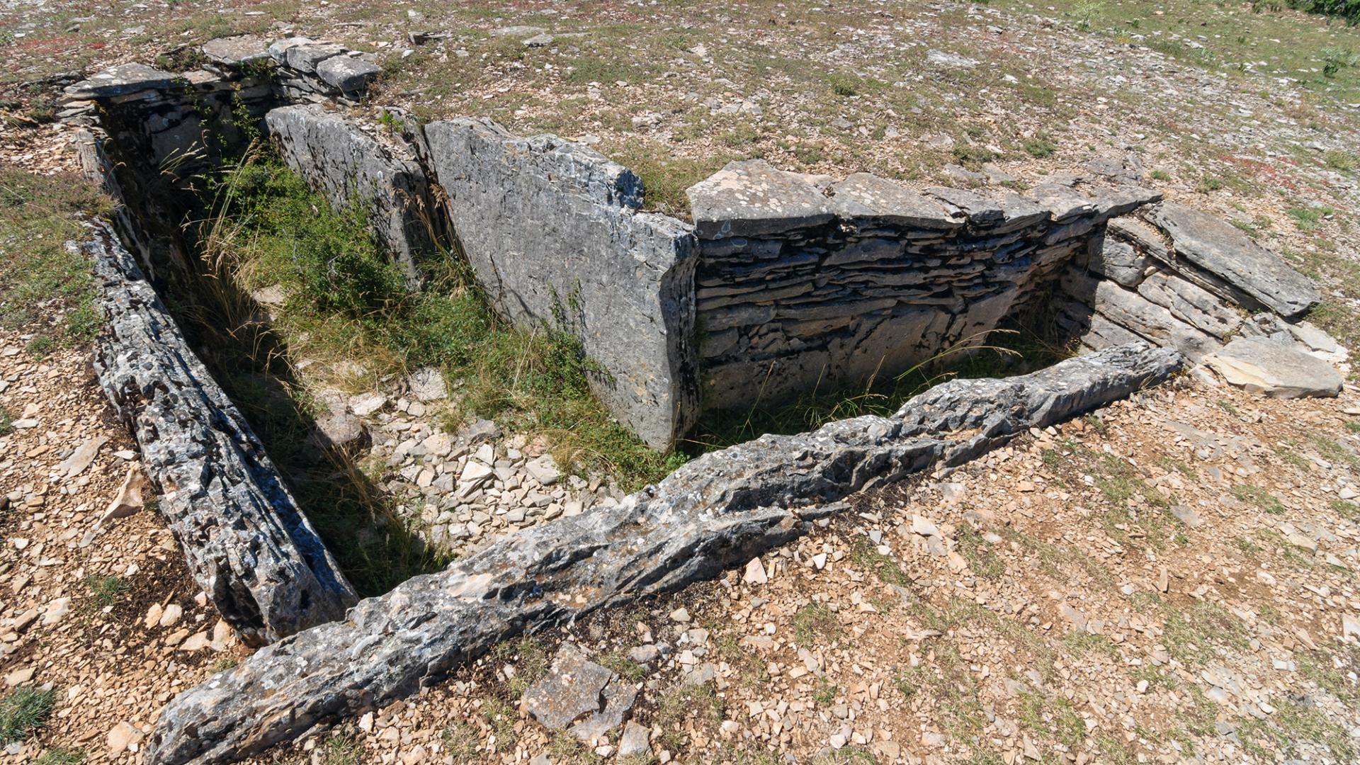 Dolmens et menhirs des Grands Causses De l'Aubrac aux du Tarn
