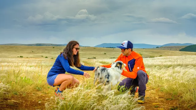 vacations with dog hiking lozère
