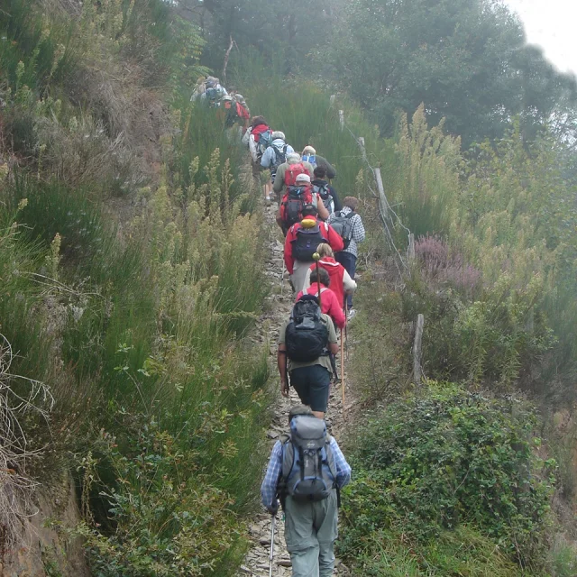 Path 8