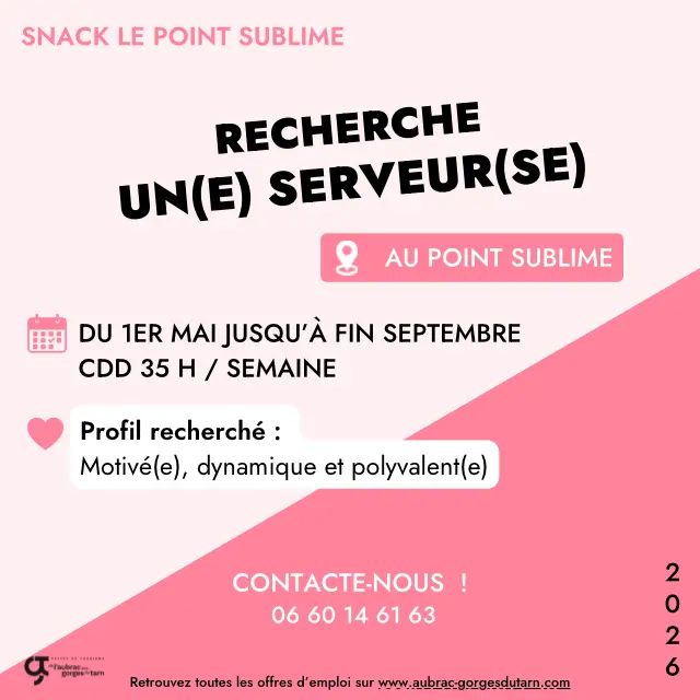 Offres D’emplois 2026 Le point sublime