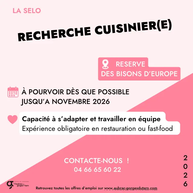 Offres D’emplois 2026 La SELO