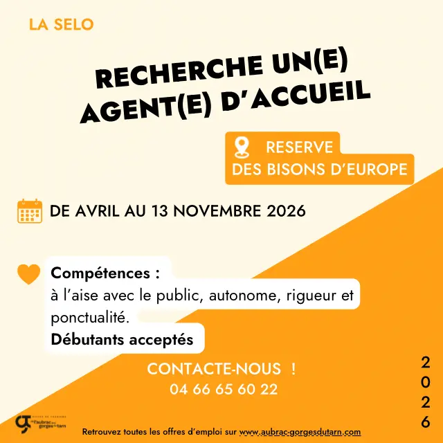 Offres D’emplois 2026 La SELO